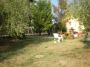 Trilocale con giardino Campagna