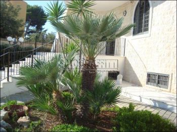 Villa arredata con balcone Palese
