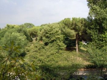 Appartamento affitto Roma - Altre fotografie
