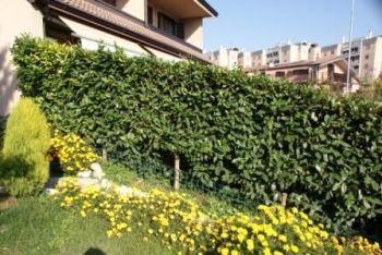 Villa a schiera con giardino e terrazzo - Altre fotografie