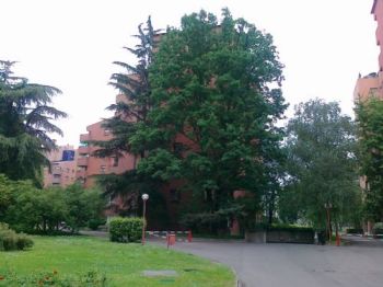Casa con piscina Baggio, forze armate, quinto romano - Altre fotografie