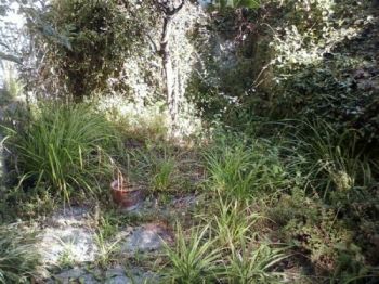 Casa con giardino Nervi - quinto al mare - Altre fotografie