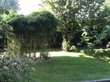 Villa Arese