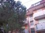 Trilocale Busto Arsizio