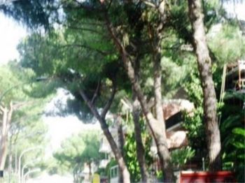 Attico affitto Roma - Altre fotografie