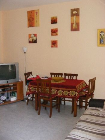 Comodo bivani in affitto