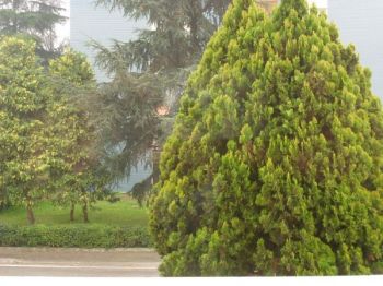 Appartamento con balcone e garage Ozzano dell'emilia