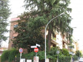 Appartamento affitto Roma - Altre fotografie