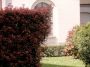 Appartamento con balcone V giornate, xxii marzo,