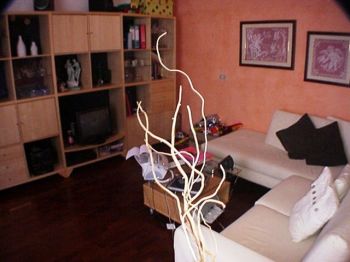 Casa arredata Vacchereccia - Altre fotografie