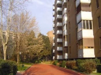 Appartamento affitto Cologno Monzese - Altre fotografie