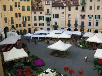 Casa arredata S. quirico - Altre fotografie