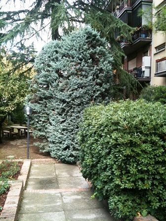 Attico arredato con terrazzo Bologna