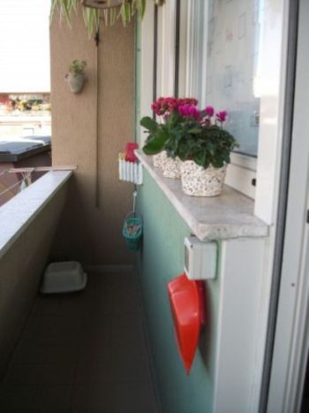 Appartamento arredato con balcone Ostia - Altre fotografie