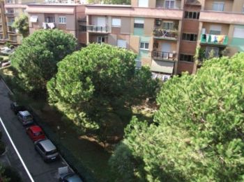 Appartamento arredato con balcone Ostia - Altre fotografie