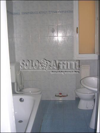 Appartamento affitto Bologna