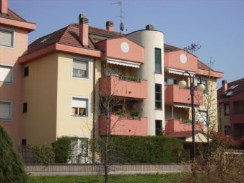 Bilocale Arese - Altre fotografie