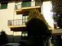 Bilocale con terrazzo Rho