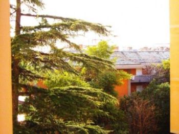 Appartamento con garage e balcone Albaro - Altre fotografie