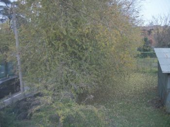 Trilocale arredato con balcone San donato - Altre fotografie