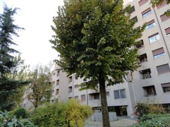 Appartamento con posto auto Corticella - Altre fotografie