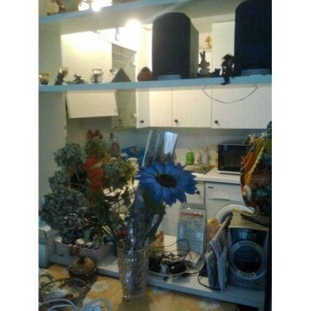 Appartamento con garage Castenaso - Altre fotografie