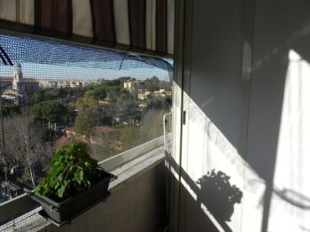Mini appartamento