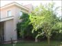 Villa con terrazzo Casamassima