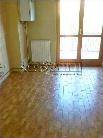 Trilocale con terrazzo e garage Treviglio