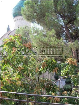 Appartamento arredato con balcone Carrassi