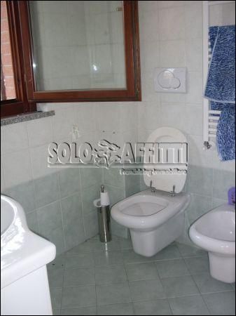 Appartamento arredato con terrazzo Settimo Milanese