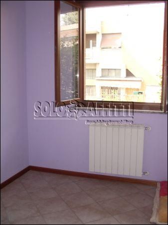 Appartamento arredato con terrazzo Settimo Milanese