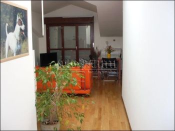 Appartamento arredato con balcone Settimo Milanese