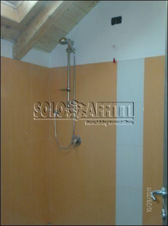 Appartamento arredato con garage Bettolino