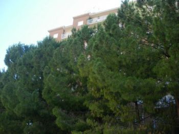 Casa con balcone Calatafimi