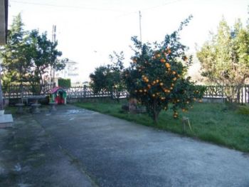 Appartamento affitto Montalto Uffugo - Altre fotografie