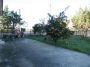 Appartamento con giardino e garage Montalto Uffugo