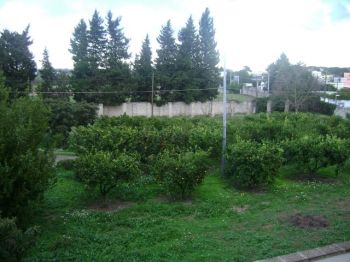 Affittasi mini appartamento