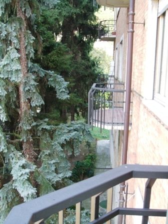 Appartamento Precollina - Altre fotografie