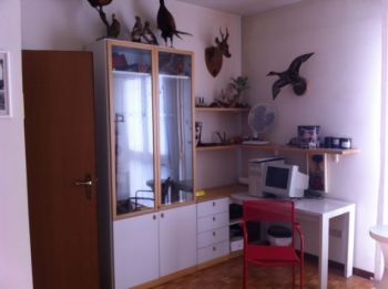 Appartamento arredato con terrazzo San Lazzaro Di Savena