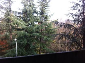Appartamento arredato con terrazzo San Lazzaro Di Savena