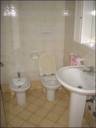 Trilocale arredato con terrazzo Pascoli