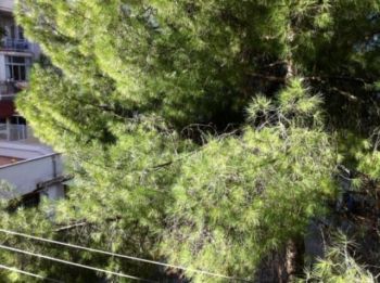 Appartamento Politeama libert� - Altre fotografie