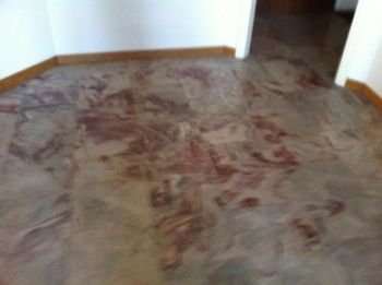 Appartamento arredato con terrazzo Citt� studi, lambrate, udine, loreto - Altre fotografie