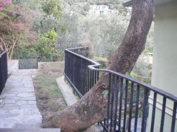 Appartamento con terrazzo e giardino - Altre fotografie