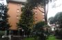 Appartamento Roma