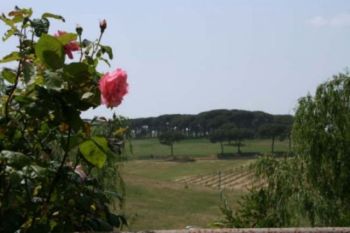 Trilocale arredato con giardino Cassia, tomba di nerone, roma - Altre fotografie
