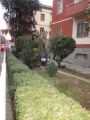 Trilocale arredato con balcone Modena