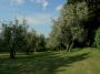 Villa a schiera con garage e giardino