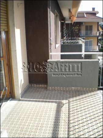 Appartamento affitto Catania